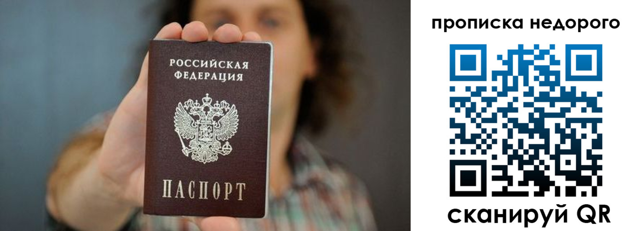прописка гарантия в Светлогорске